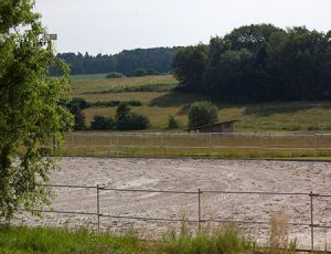 ReitplatzWeideklein